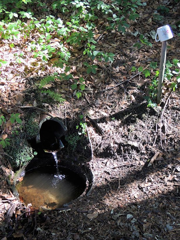 studánka bez jména (8928)
