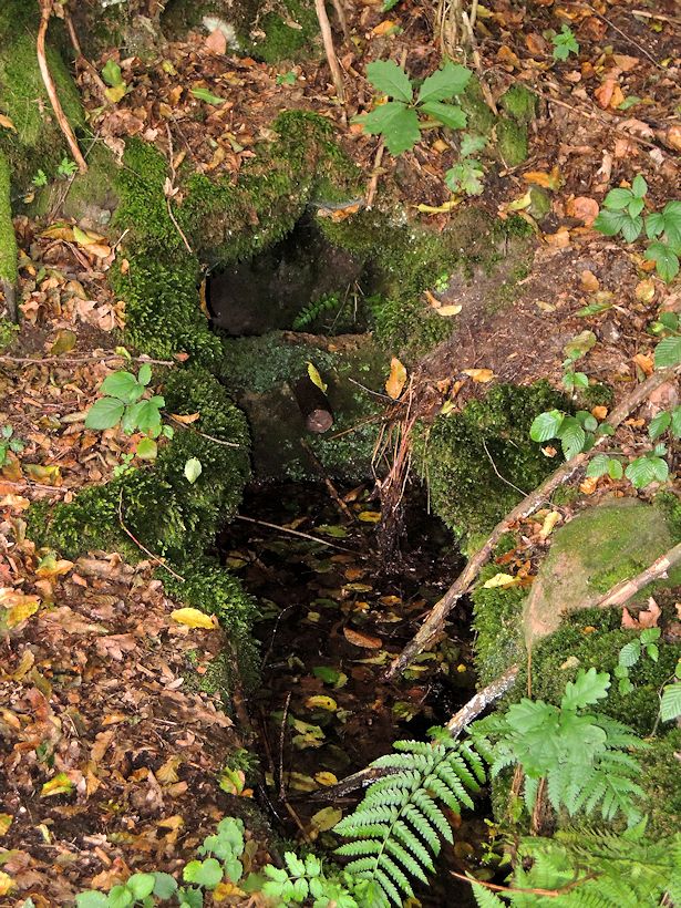 studánka bez jména (8929)