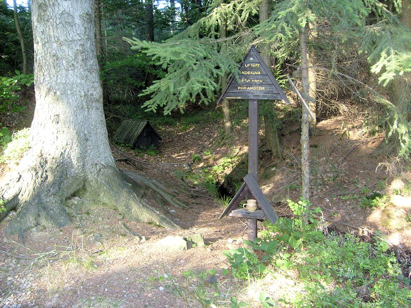 Koskova studánka pod Amosem (8931)