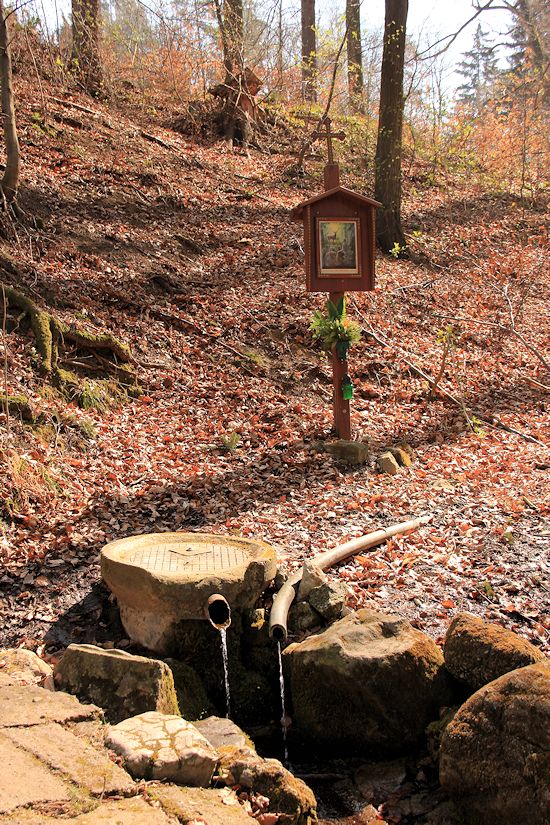 studánka V Brdském žlebě (8943)
