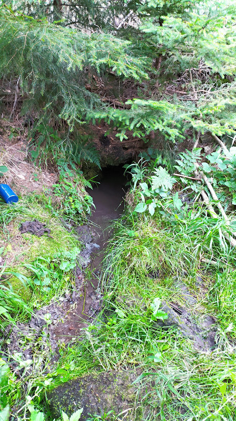 studánka Pod Brdem (8944)