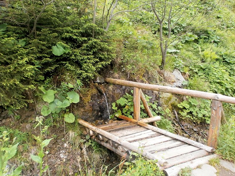 studánka bez jména (8946)