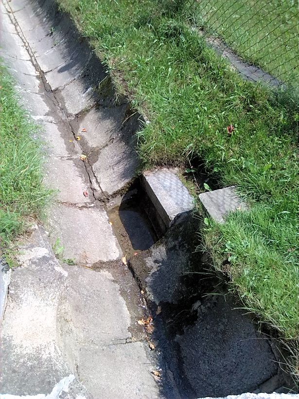 studánka U Horního Dvora (8948)