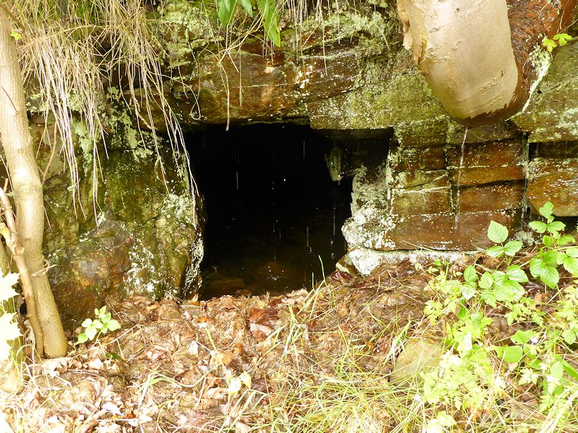 studánka bez jména (8955)