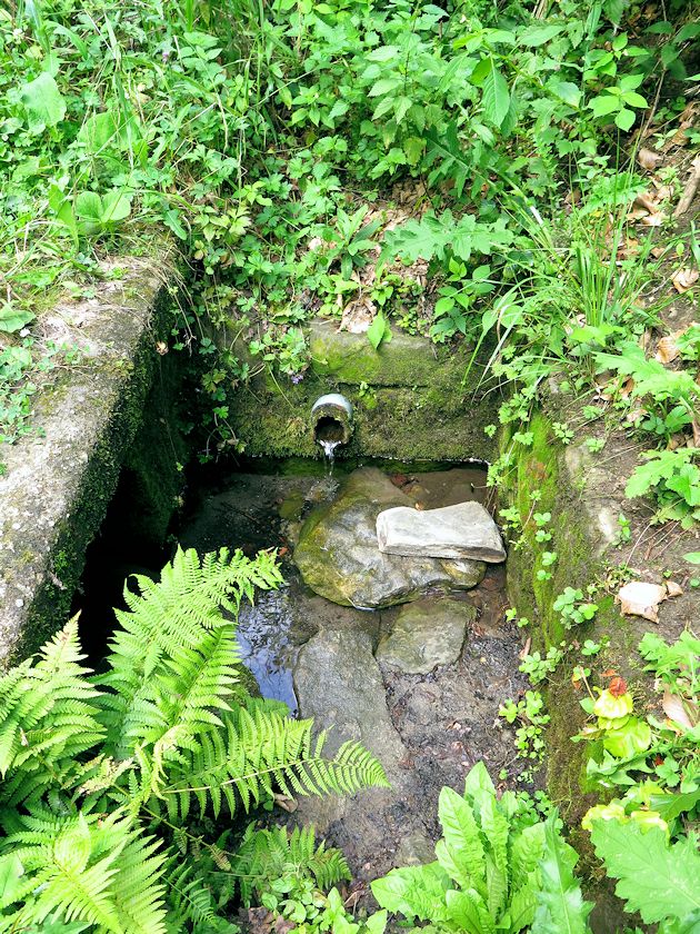 studánka Za Vandovou pilou (8958)