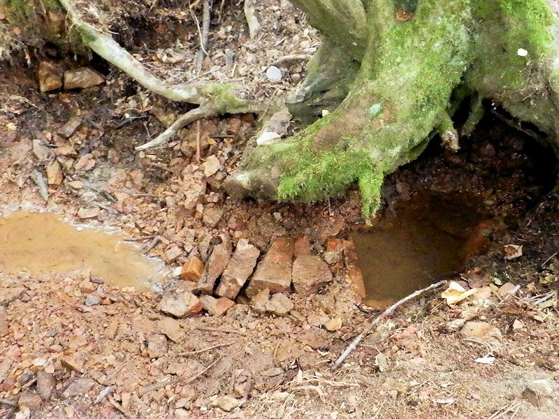 Simandlovská studánka (8965)