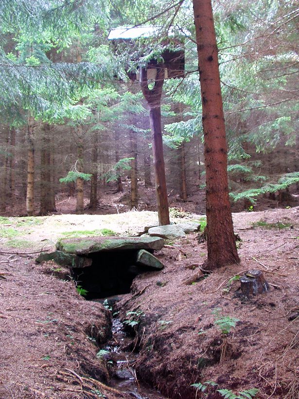 Sumrakovská studánka (8966)