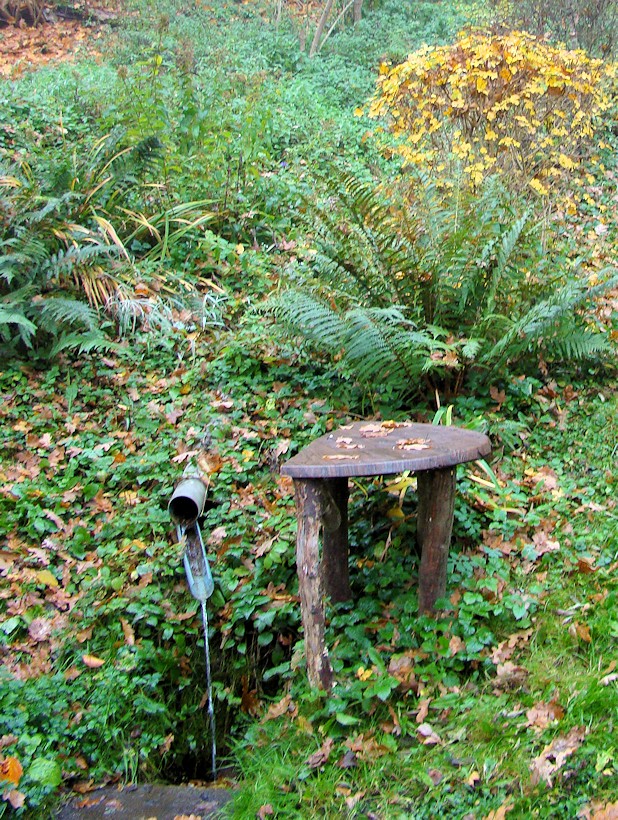 studánka bez jména (8971)
