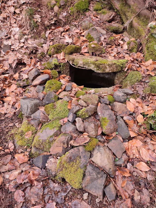 studánka bez jména (8972)