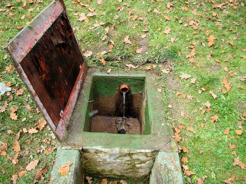 studánka bez jména (8975)