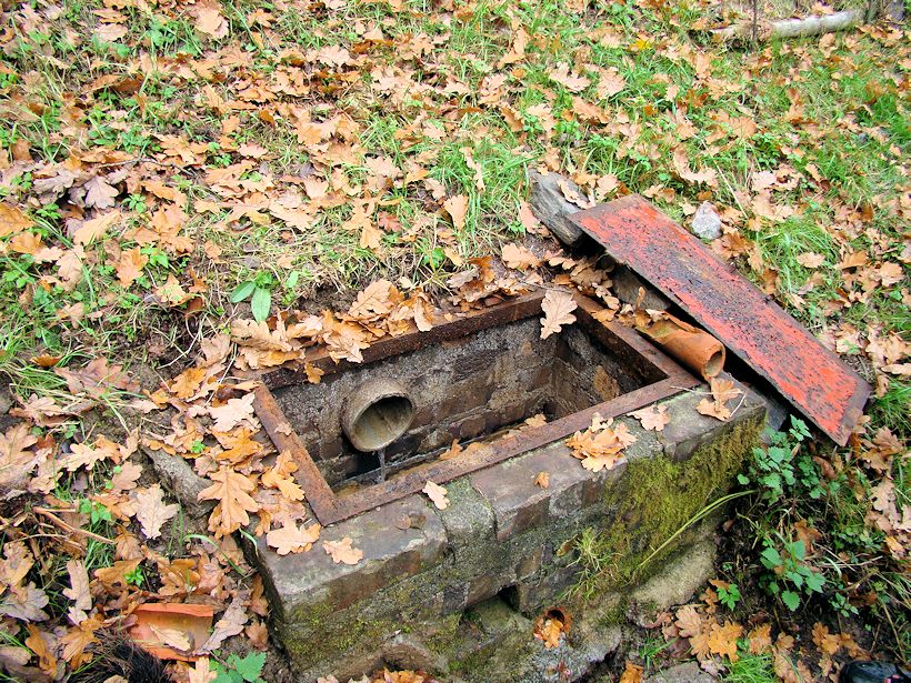 studánka bez jména (8977)