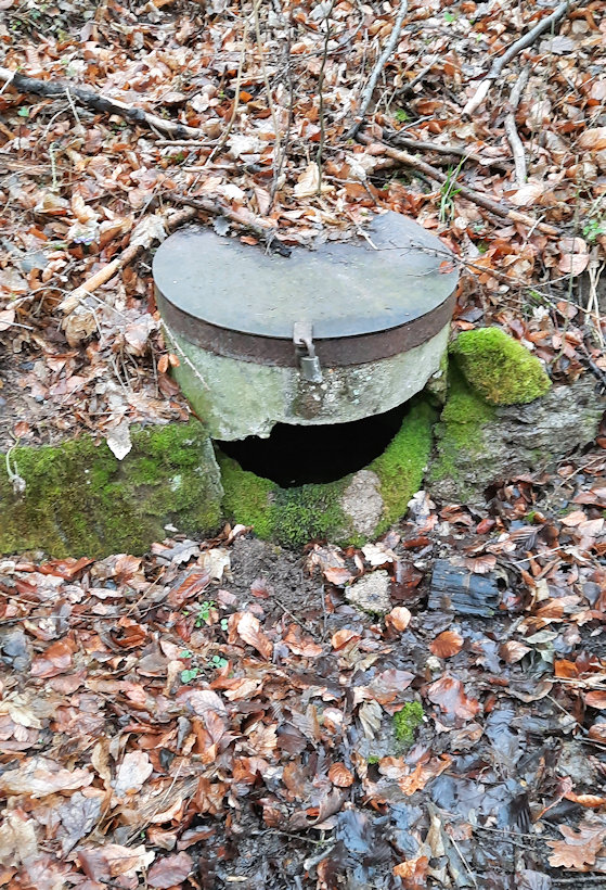 studánka Silniční (8979)