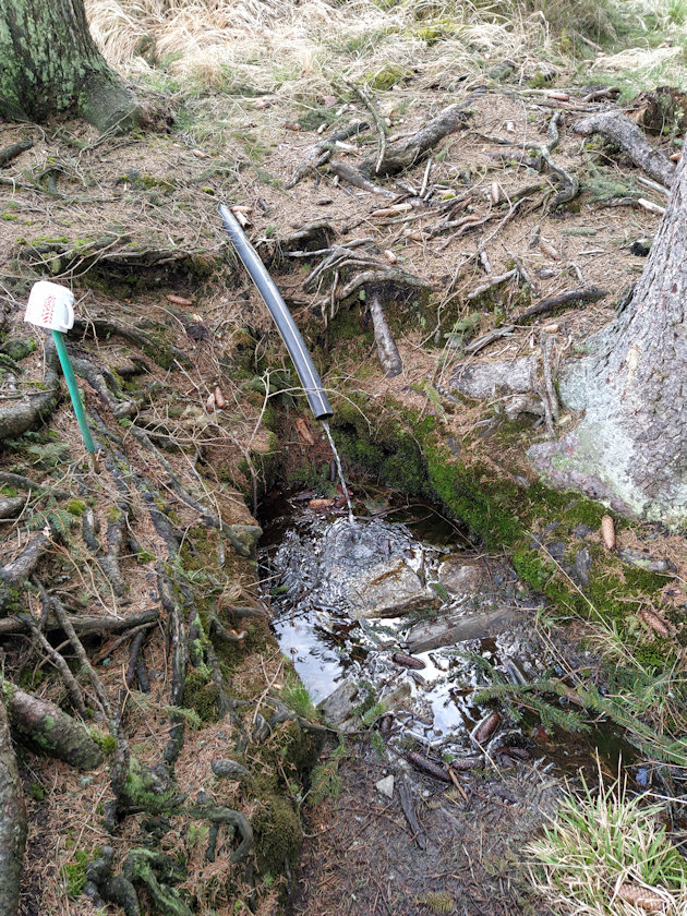 studánka Nad Bambouchem (10008)