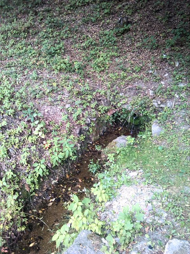 studánka U Korýtka (10015)