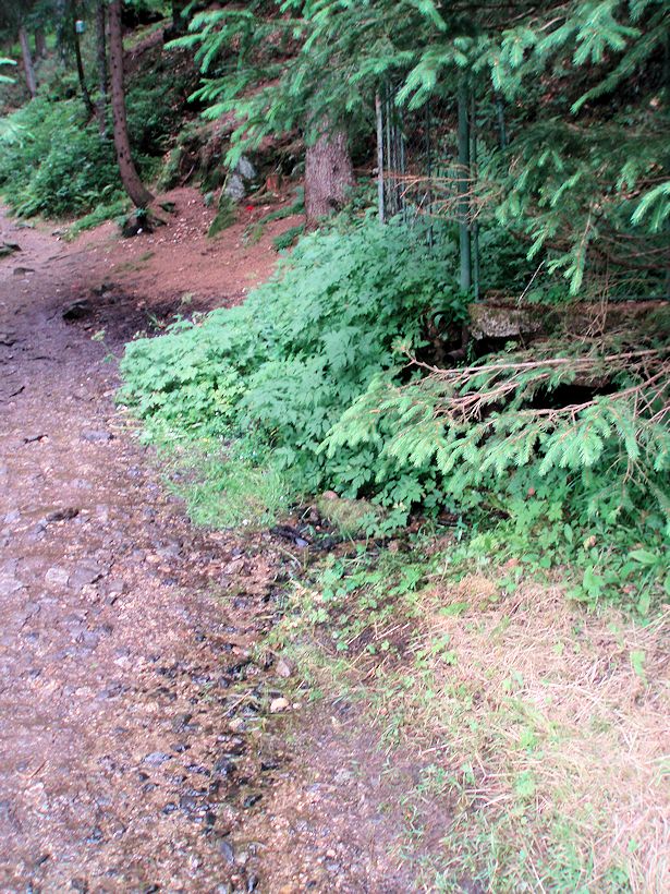 prameniště Nad Antýglem (10018)