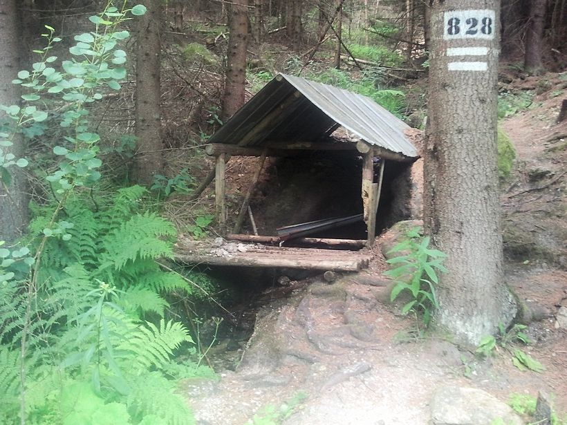 studánka Pod Huťským rybníkem (10031)