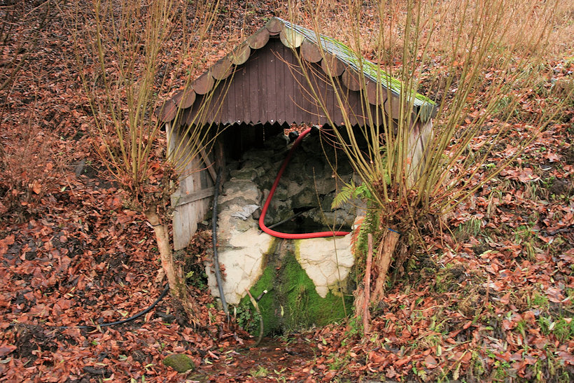 studánka bez jména (10034)