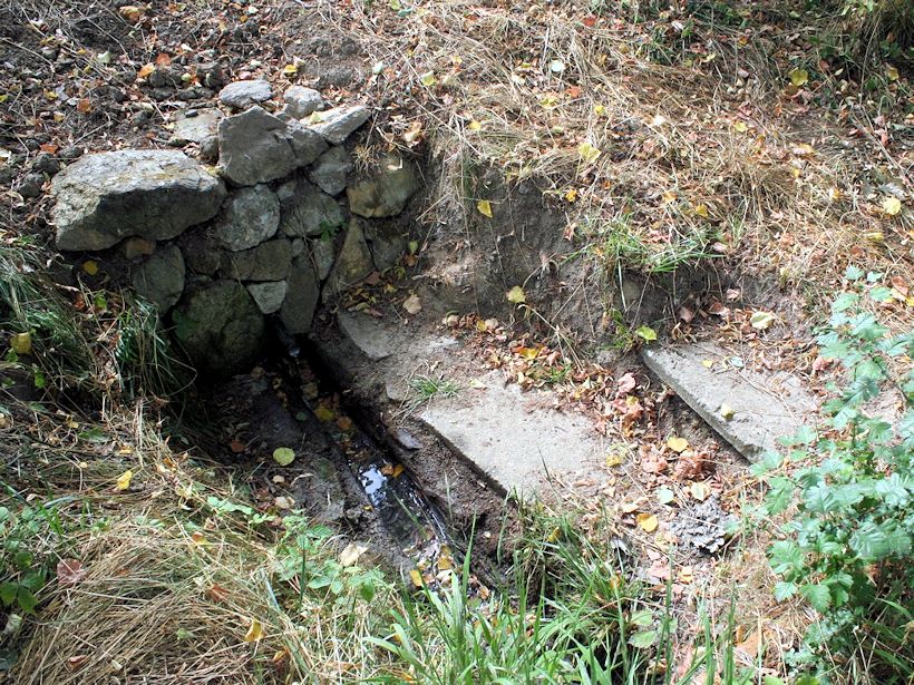 Sirkový pramen (10037)
