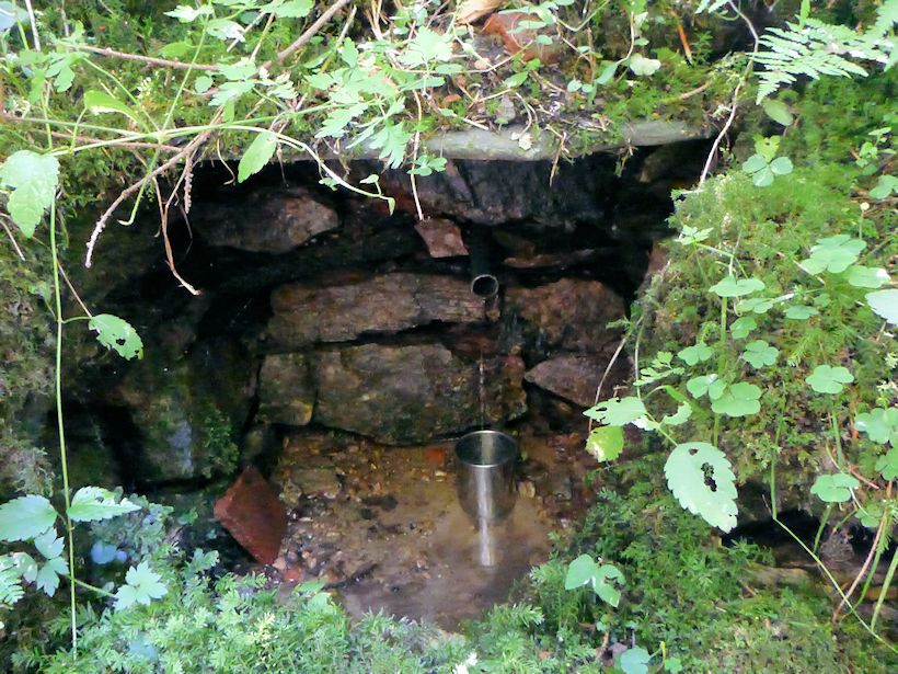 studánka Pod Pecnem (10039)