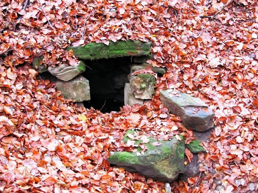 Staříčkova studánka (10046)