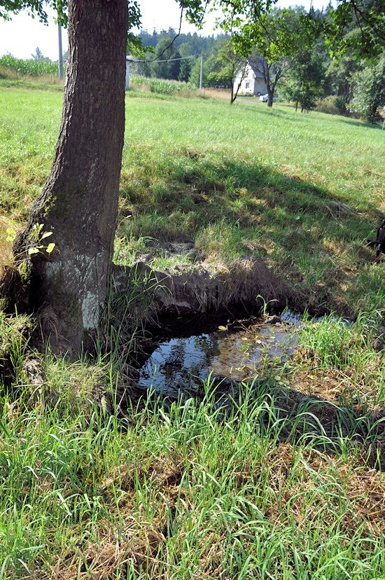 studánka Pod olší (10047)