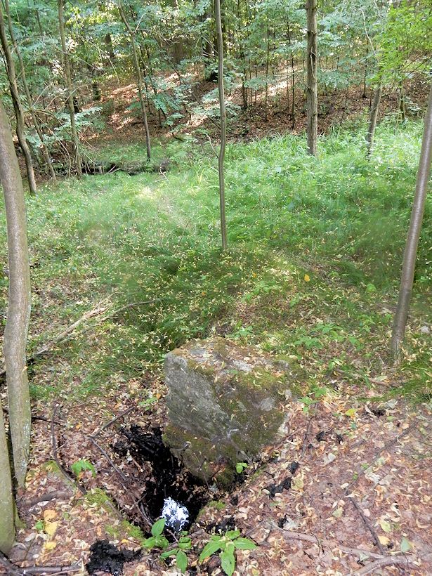 studánka U Jezírek (10058)