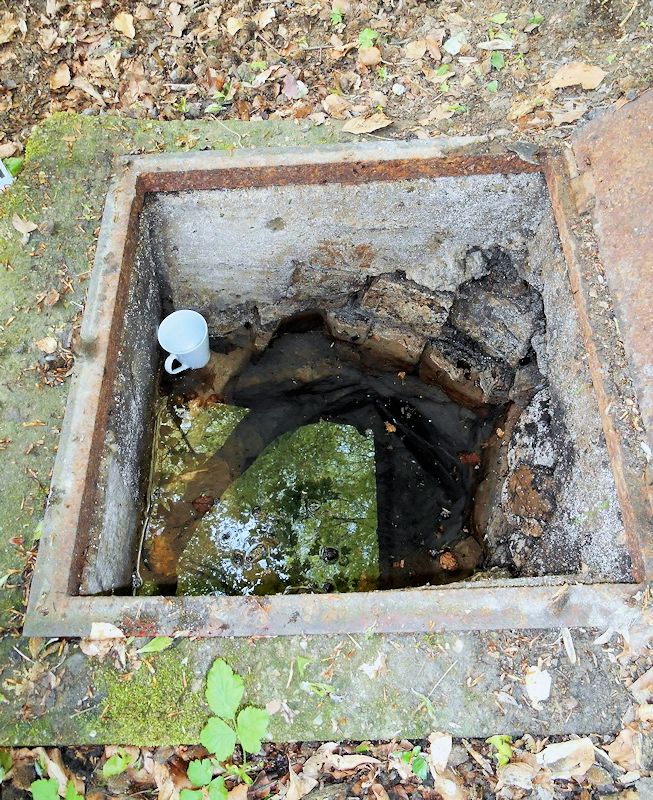 studánka U Polepilů (10060)