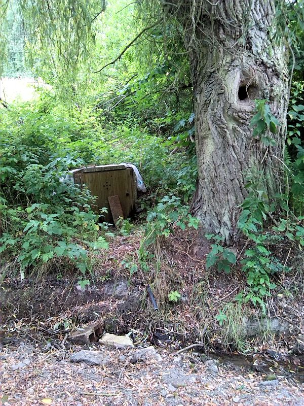 studánka Pod Babinou (10063)