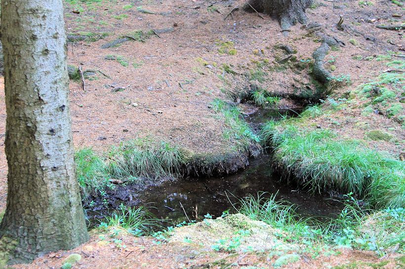 pramen Studánka permoníků (10071)