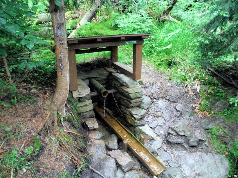 studánka bez jména (10074)