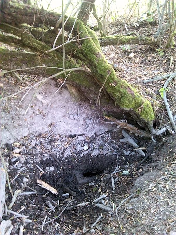 studánka Pod Buršovým kopcem (10079)