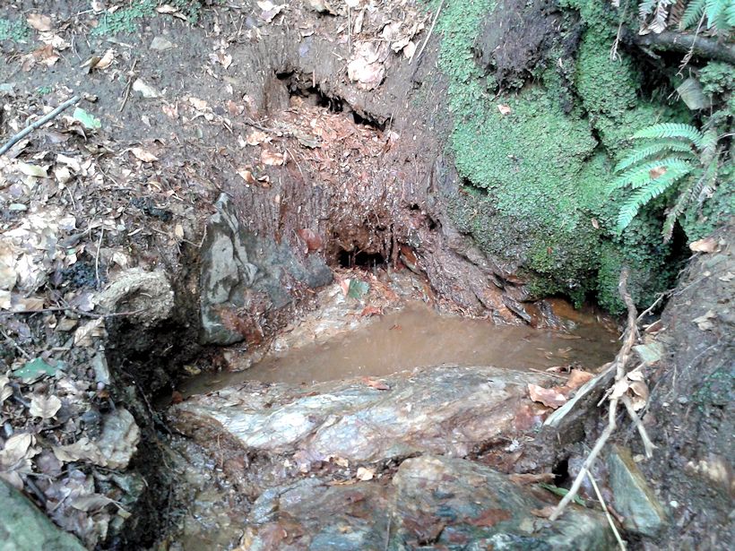 studánka Nad Ztracenkou (10095)