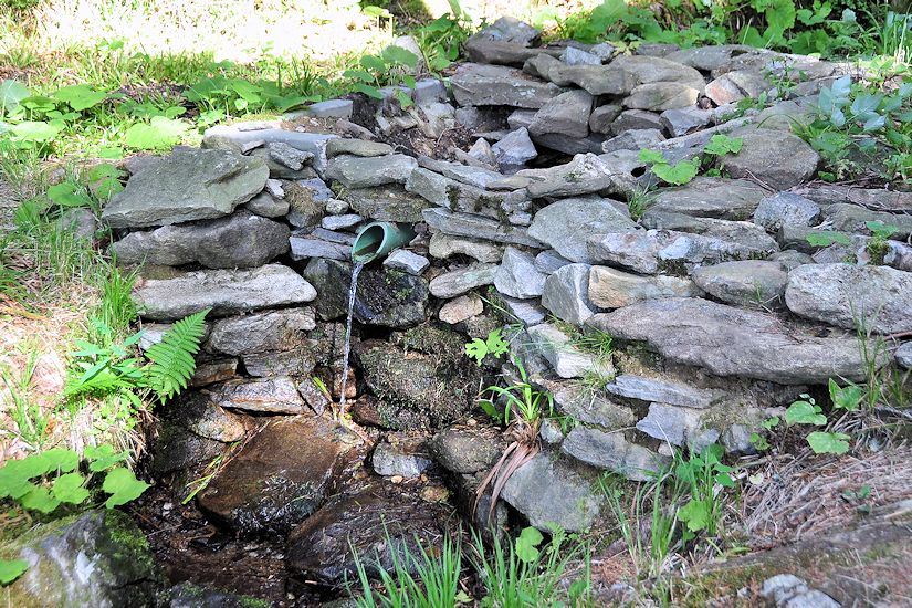studánka bez jména (10112)