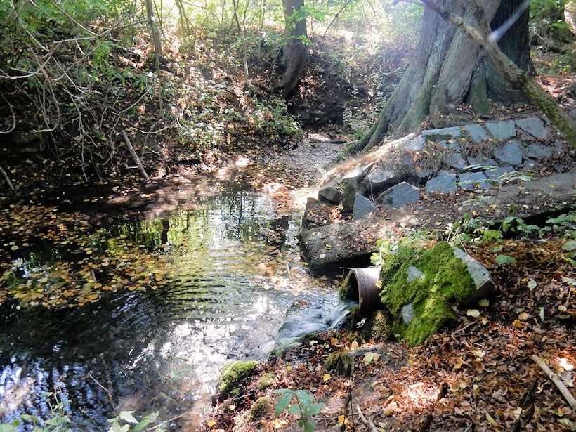 Morašický pramen 1 (10115)