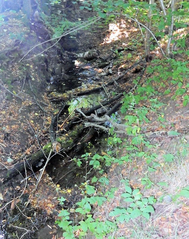 Morašický pramen 2 (10116)