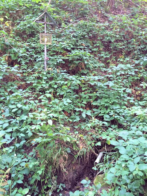 Bartoníkova studánka (10119)