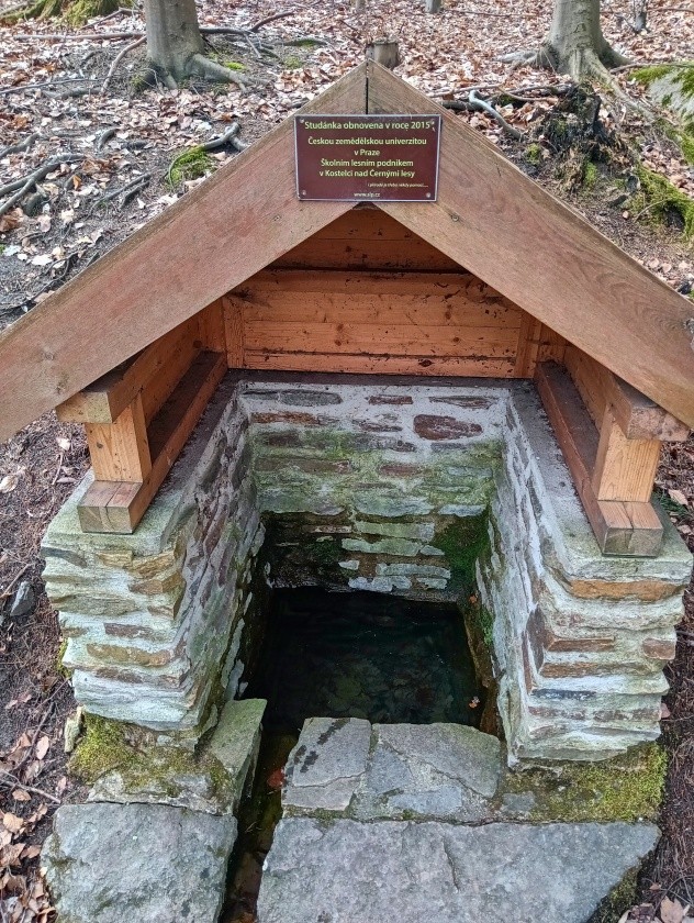 studánka U vyžlovského rybníka (10125)