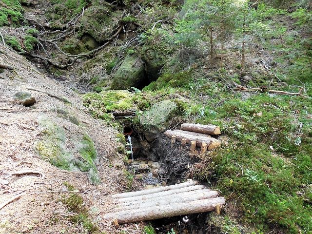 studánka V mechu a kapradí (10126)