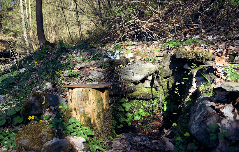 studánka U líhně (10128)