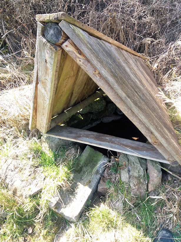 studánka Pod Křínovem (10138)