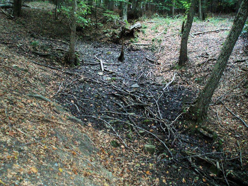 prameniště Pod Tvarůžkem (10150)