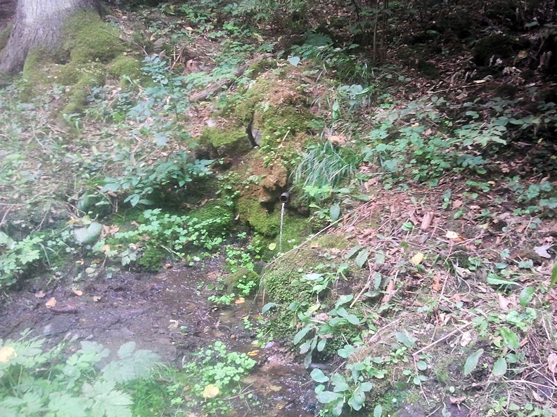 studánka Nad Korečnickým Mlýnem I (10153)