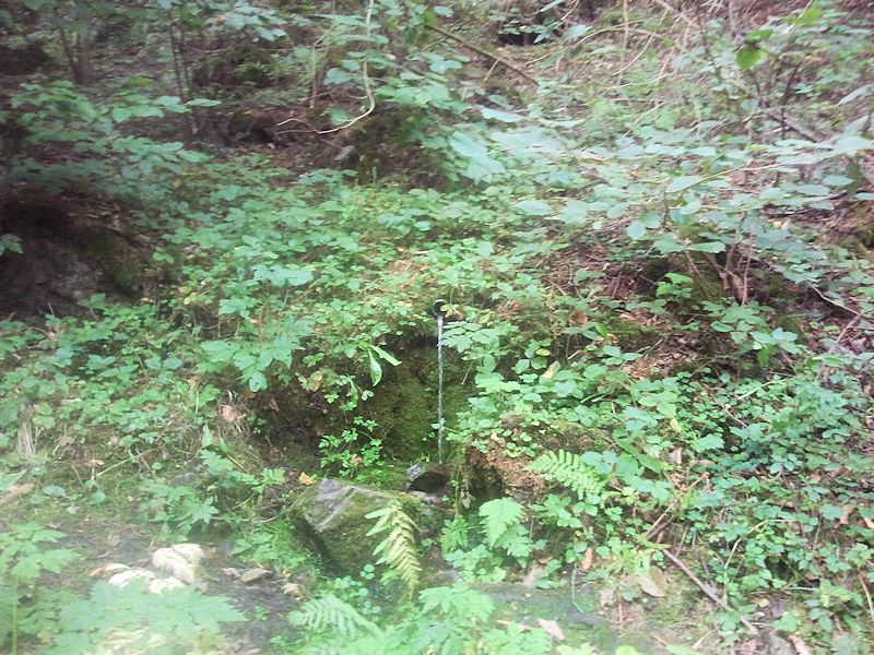 studánka Nad Korečnickým Mlýnem II (10154)