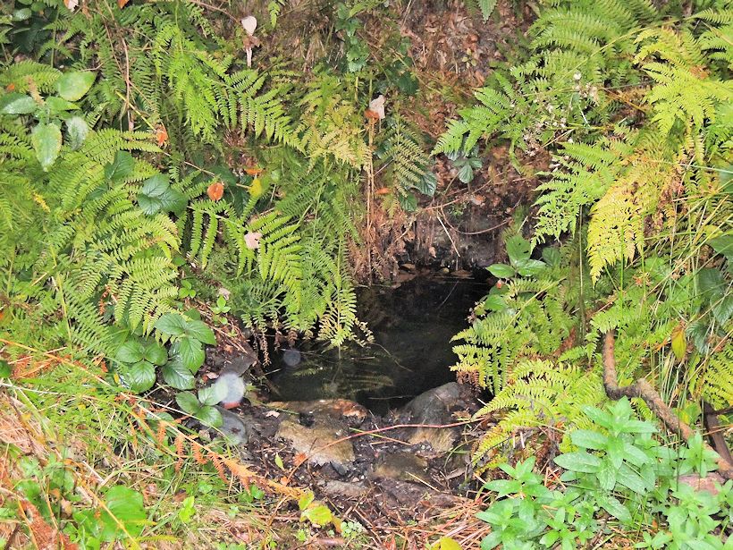 studánka U Čertovky 1 (10169)