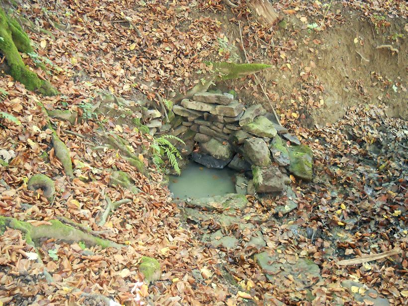 studánka Pod bukem (10174)