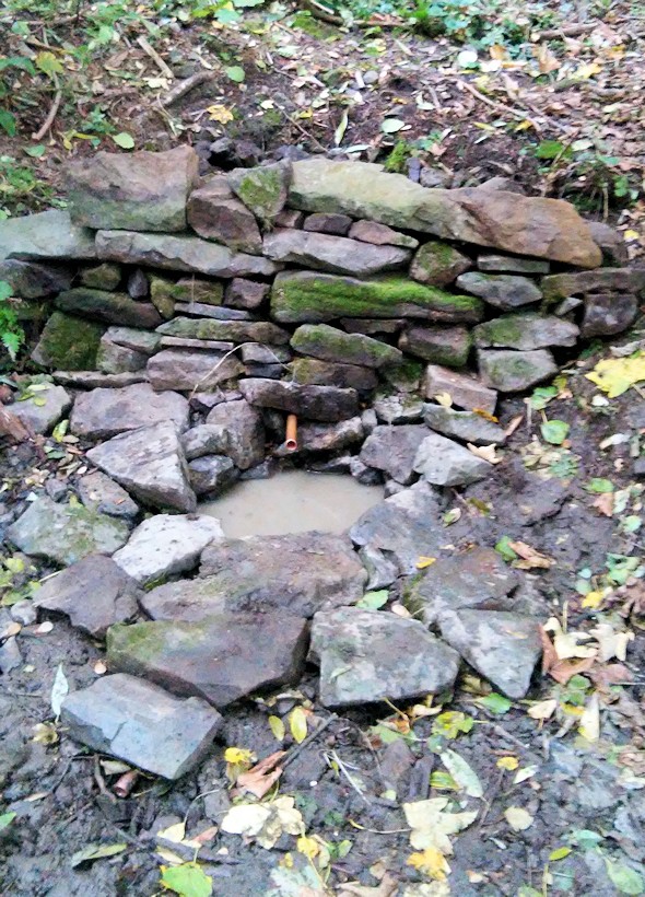 studánka U napajedla (10176)