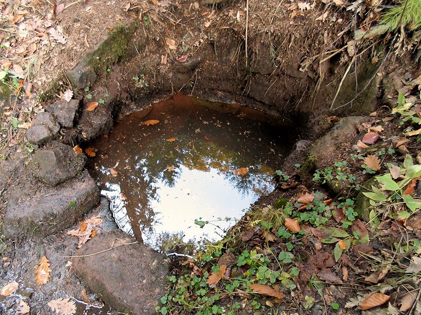 studánka Pod Homolí (10189)