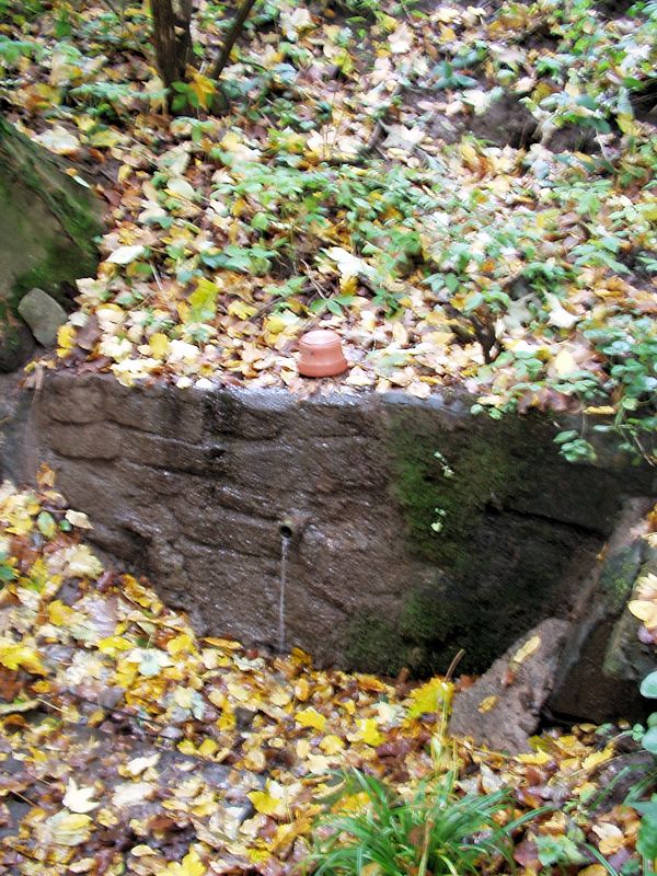 studánka Pod Malýma (10191)
