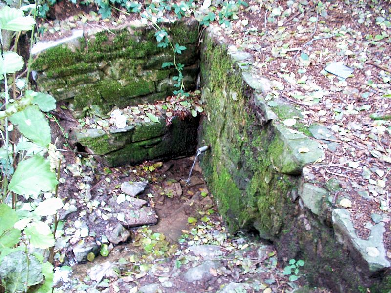 studánka U Ketkovic (10192)