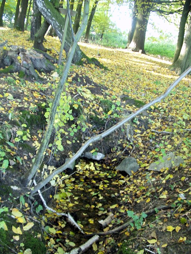 studánka Bzovka (10198)